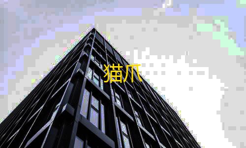 乐兔直装暗区突围下载猫爪